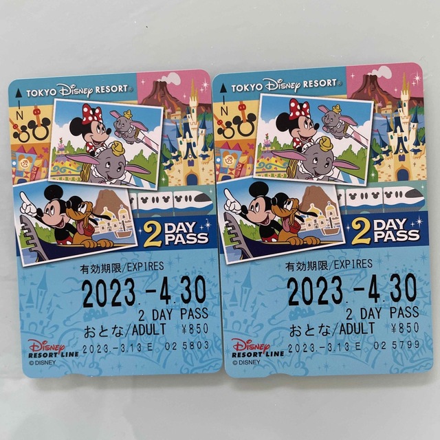 DISNEY リゾートラインチケット 2day チケットの施設利用券(遊園地/テーマパーク)の商品写真