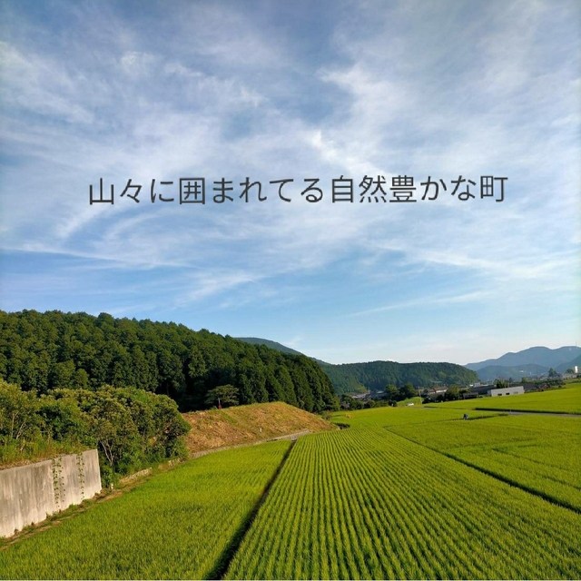 【ポポ様専用】愛媛県産あきたこまち100%　５Kg　農家直送 食品/飲料/酒の食品(米/穀物)の商品写真