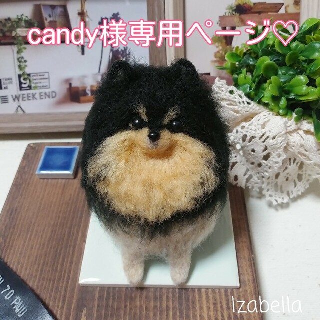 candyページ♡