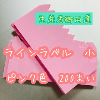 ラインラベル 小 桃200枚 園芸カラーラベル 多肉植物 エケベリア (プランター)