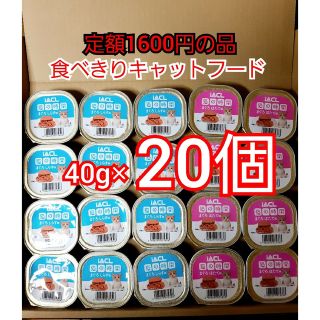 イトウ&カンパニーリミテッド　猫の時間　40g　20個(猫)