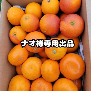 愛媛県産　ブラッドオレンジ　せとか　箱込み約4㎏セット　柑橘　ミカン(フルーツ)