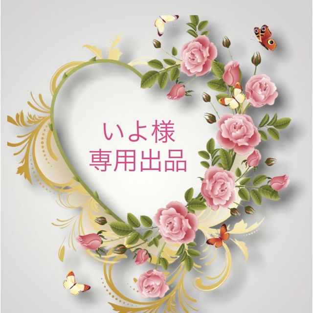 いよ様 専用 ≪超目玉☆12月≫ www.fenix-seguridad.com