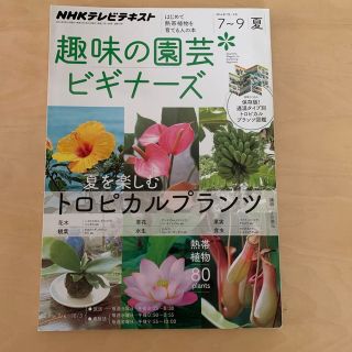 趣味の園芸ビギナーズ 2014年 07月号(その他)