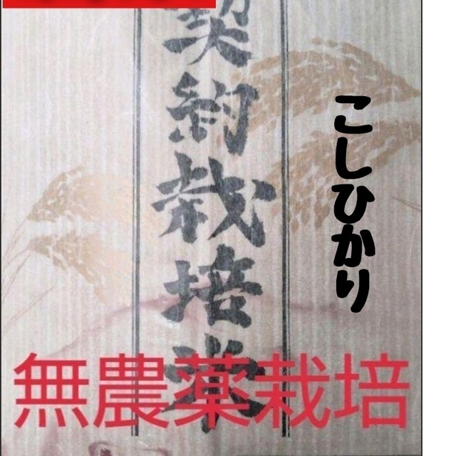 兵庫県丹波産こしひかり玄米10kg(令和4年産)