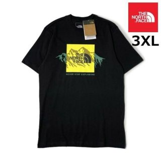 ザノースフェイス(THE NORTH FACE)のノースフェイス NOV GRAPHIC Tシャツ US(3XL)黒 180902(Tシャツ/カットソー(半袖/袖なし))