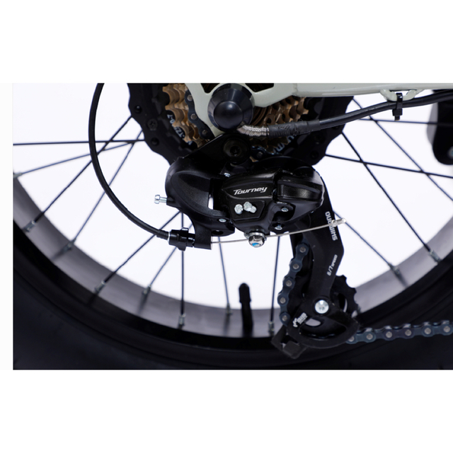 日本初上陸 新型 電動アシスト自転車 電動自転車 アシスト自転車 ワゴン車入れ スポーツ/アウトドアの自転車(自転車本体)の商品写真