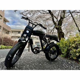 日本初上陸 新型 電動アシスト自転車 電動自転車 アシスト自転車 ワゴン車入れ(自転車本体)
