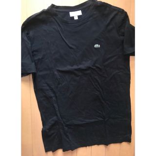 ラコステ(LACOSTE)の値下げ LACOSTE ラコステ Tee Mens M-L(Tシャツ/カットソー(半袖/袖なし))