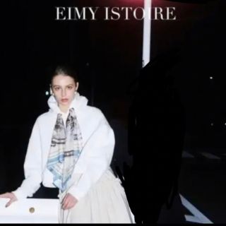 エイミーイストワール(eimy istoire)のeimy istoire パーカー(パーカー)