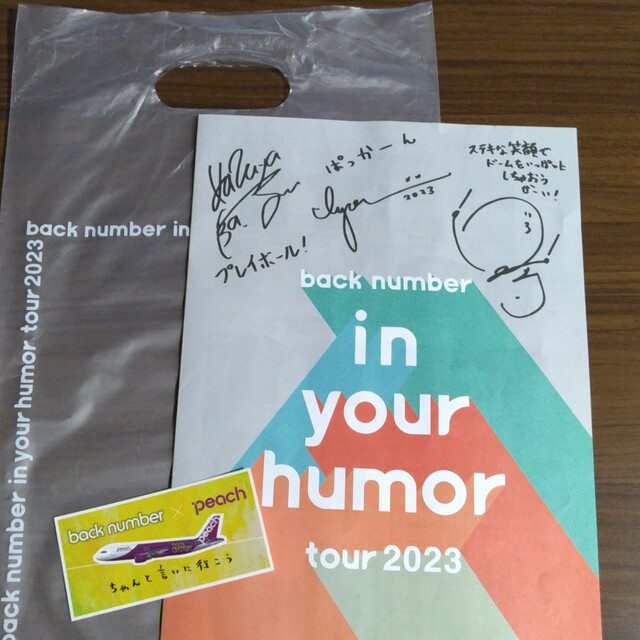 BACK NUMBER(バックナンバー)のback number ライブパンフレット エンタメ/ホビーのタレントグッズ(ミュージシャン)の商品写真