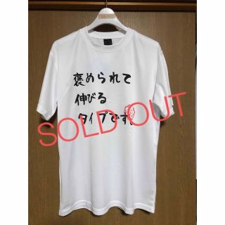 新品◆L◆文字Tシャツ「褒められて伸びるタイプです」(シャツ)