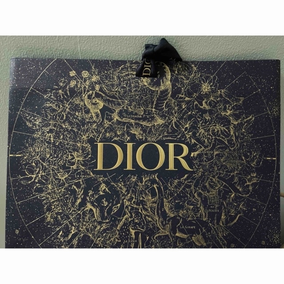 Christian Dior(クリスチャンディオール)のディオール　ショッパー　紙袋 レディースのバッグ(ショップ袋)の商品写真