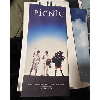 　映画　picnic パンフレット　/ CHARA   浅野忠信(日本映画)