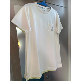 フェニックス(phenix)のフェニックスレディースＴシャツ　Ｍサイズ(Tシャツ(半袖/袖なし))