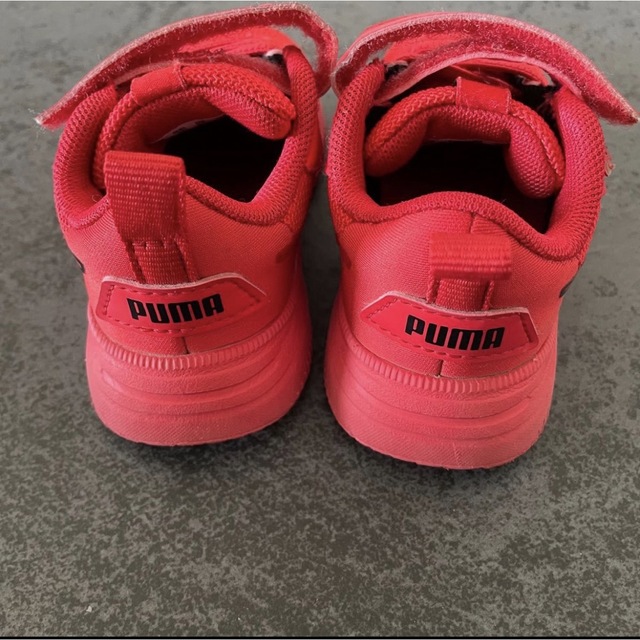 PUMA(プーマ)のキッズ／プーマ スニーカー 13cm 赤　レッド キッズ/ベビー/マタニティのベビー靴/シューズ(~14cm)(スニーカー)の商品写真