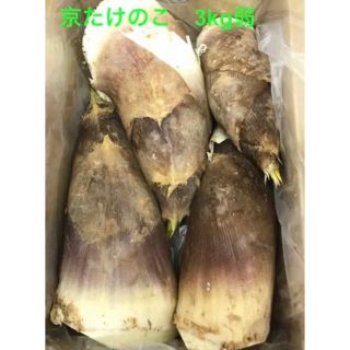 京都乙訓産　朝採り　たけのこ　3キロ弱　筍　竹の子(野菜)