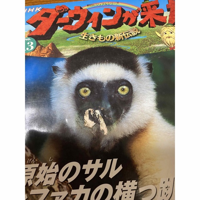 NHK ダーウィンが来た!DVDブック 20冊(DVD17枚)