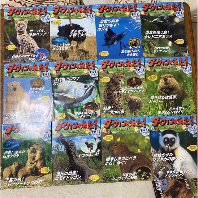 NHK ダーウィンが来た!DVDブック 20冊(DVD17枚)