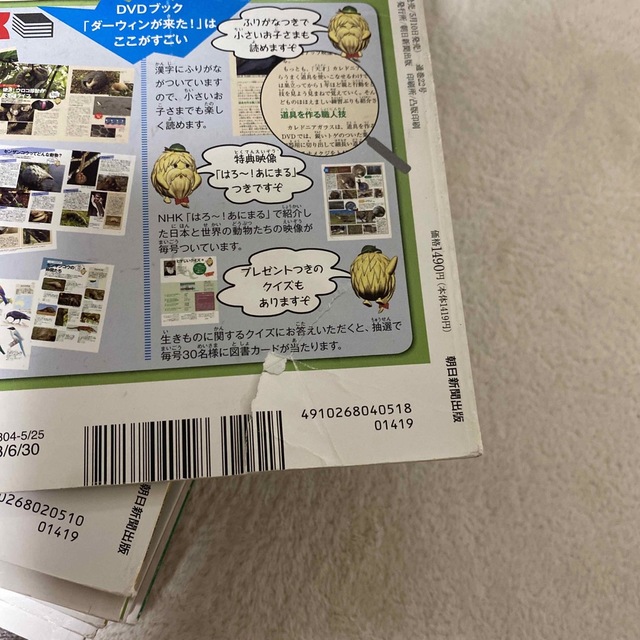 高 ダーウィンが来た! DVDブック 30冊 - peshawarichappals.pk