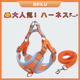 ハーネスリード小型犬 ペットハーネス 犬 ハーネス ペット用品 ソフトパッド (リード/首輪)