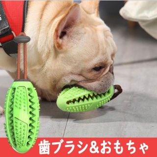 犬の歯磨き、おもちゃ、知育グッズ、犬のストレス発散、破壊行動に(犬)