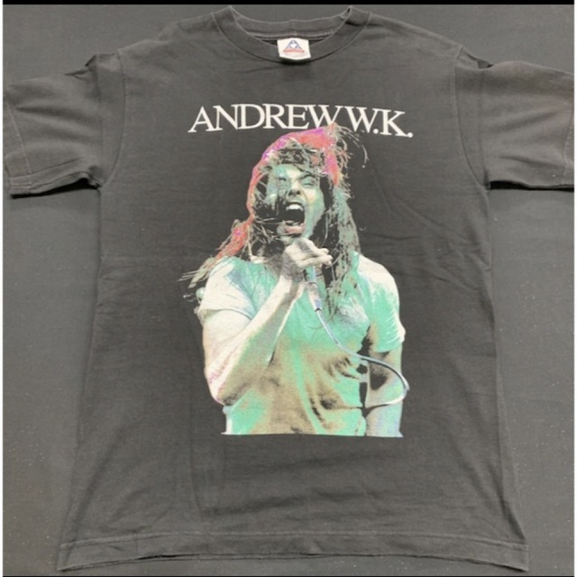 Andrew W.K. Tシャツ 90s 00s フォトT アンドリューWK