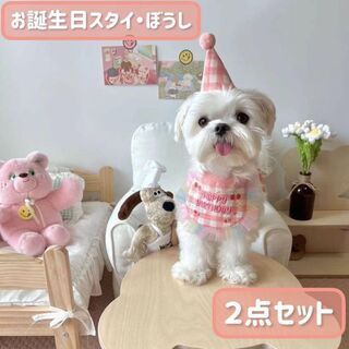 犬 猫 ペット 誕生日 バースデー スタイ 帽子 パーティ 写真 撮影 ピンク(犬)