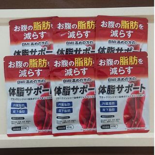 体脂サポート 6袋セット(ダイエット食品)