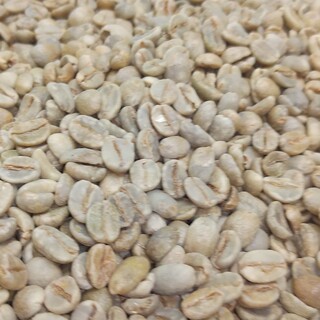 生豆　モカマタリ1000グラム(コーヒー)