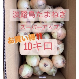 新たまねぎ　淡路島　10キロ(野菜)