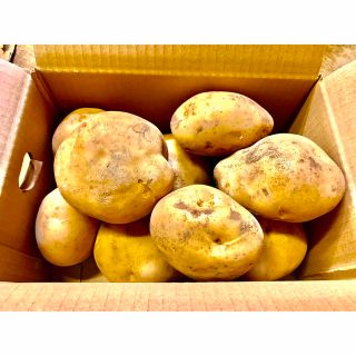 じゃがいも 5キロ　長崎県島原半島産　出島　デシマ　産地直送(野菜)