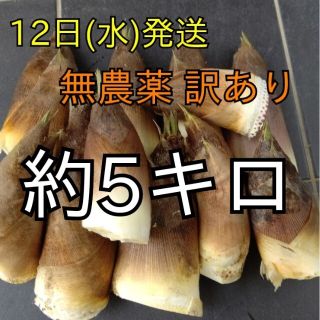 訳あり 傷あり タケノコ たけのこ 筍 竹の子 やさい 野菜 つめあわせ(野菜)