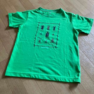 モンベル(mont bell)のmont -bell キッズTシャツ(Tシャツ/カットソー)