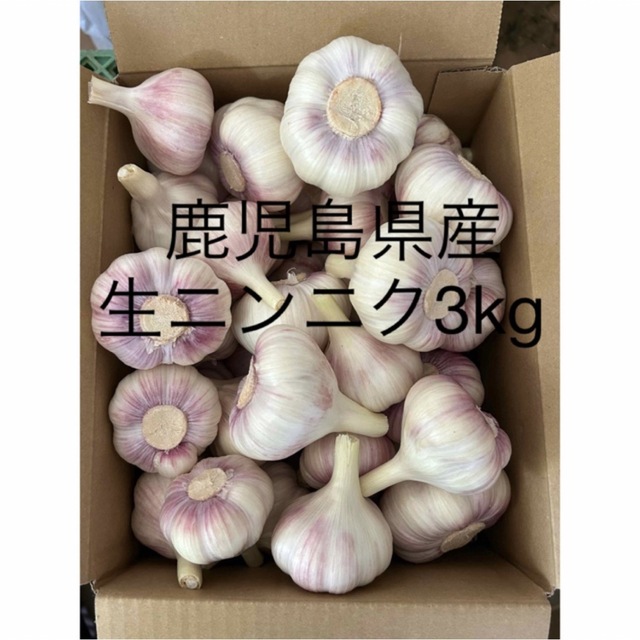 生ニンニク3kg 鹿児島県産 食品/飲料/酒の食品(野菜)の商品写真