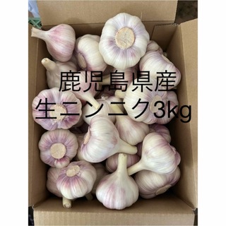 生ニンニク3kg 鹿児島県産(野菜)