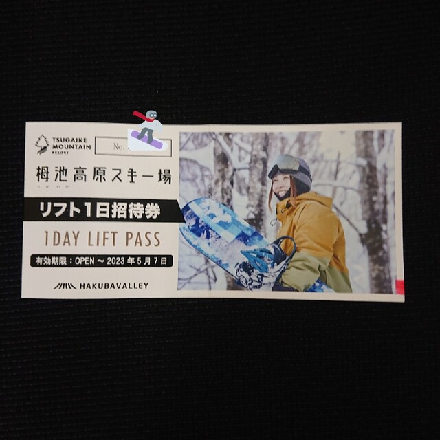 トラスト 栂池高原スキー場 リフト1日招待券×2枚