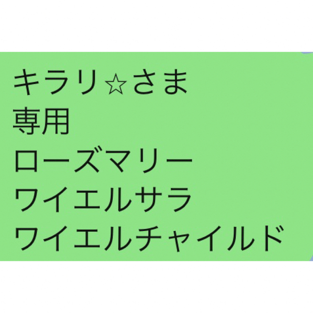 キラリ⭐︎さま 専用 ローズマリー ワイエルサラ ワイエルチャイルド