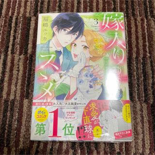 嫁入りのススメ　3(女性漫画)