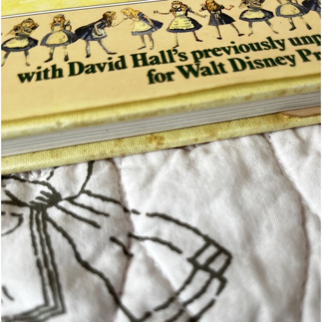 Disney(ディズニー)のふしぎの国のアリス　洋書絵本　画集 エンタメ/ホビーの本(洋書)の商品写真