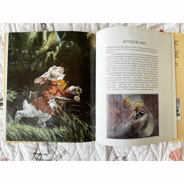 Disney(ディズニー)のふしぎの国のアリス　洋書絵本　画集 エンタメ/ホビーの本(洋書)の商品写真