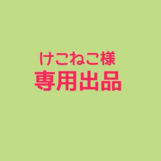 けこねこ様 専用出品(その他)