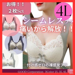 みち様専用　4L グレー、ピンク(ブラ)