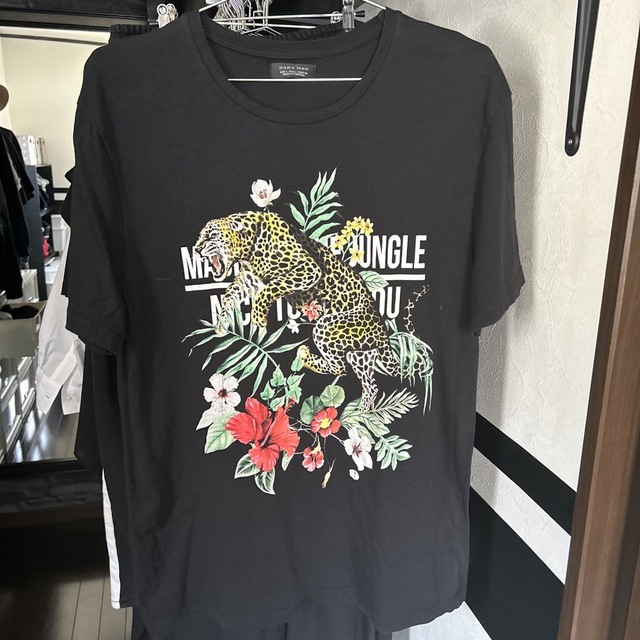 ZARA(ザラ)のZARA★レオパードTシャツ メンズのトップス(Tシャツ/カットソー(半袖/袖なし))の商品写真