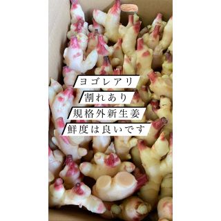 ぞえやん様専用　規格外新生姜1kg 高知県産(野菜)