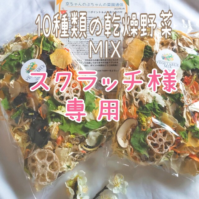 【10種類の乾燥野菜MIX】自然の美味しさ100% 無添加 無着色 ドライベジ 食品/飲料/酒の食品(野菜)の商品写真