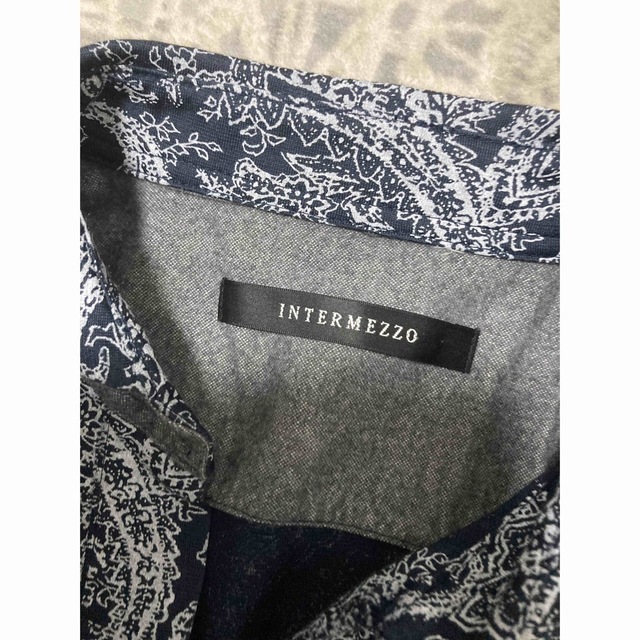 INTERMEZZO(インターメッツォ)のintermezzo インターメッツォ　ペイズリー　ボタンなし　ロングポロ メンズのトップス(ポロシャツ)の商品写真