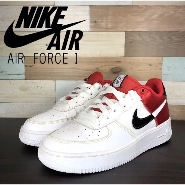 24cm AIR FORCE 1 (GS)