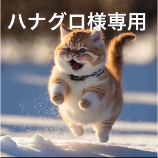 ハナグロ様 専用 500本セット 猫 いなば ちゅーる(ペットフード)