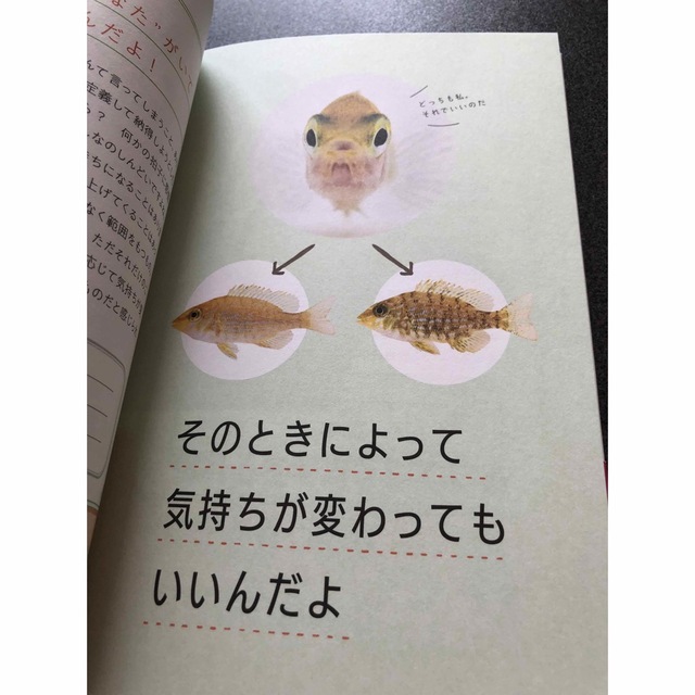 魚たちからの応援図鑑　帯有　美品　鈴木香里武　 エンタメ/ホビーの本(科学/技術)の商品写真